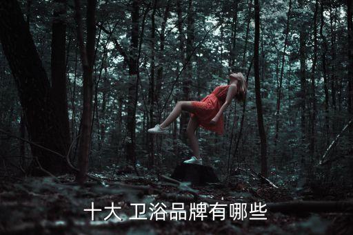 十大 衛(wèi)浴品牌有哪些