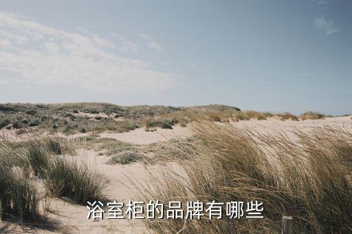 浴室柜的品牌有哪些
