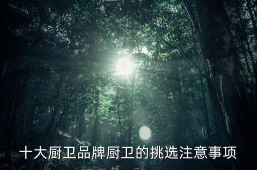 十大廚衛(wèi)品牌廚衛(wèi)的挑選注意事項