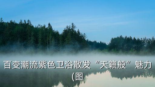 百變潮流紫色衛(wèi)浴散發(fā)“天籟般”魅力(圖
