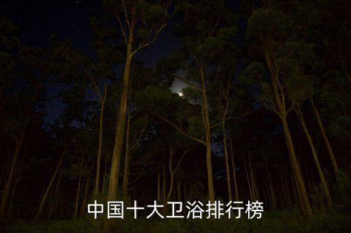 中國十大衛(wèi)浴排行榜