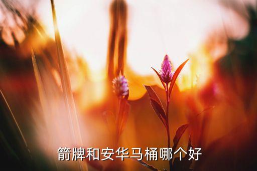  箭牌和安華馬桶哪個(gè)好
