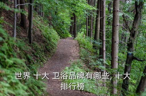 十大衛(wèi)浴品牌有哪些品牌,衛(wèi)浴十大名牌排名