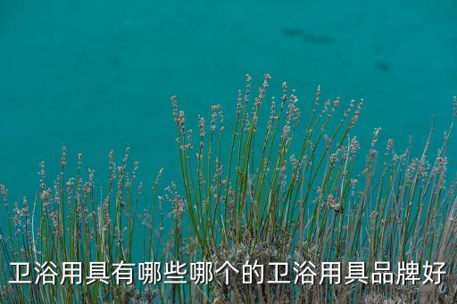 衛(wèi)浴用具有哪些哪個的衛(wèi)浴用具品牌好