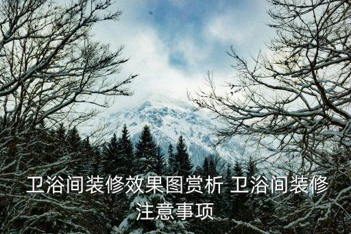 衛(wèi)浴側(cè)邊淋浴圖片大全