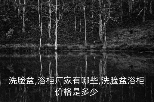 河南現(xiàn)代衛(wèi)浴柜品牌有哪些