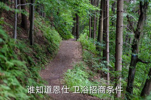 誰(shuí)知道恩仕 衛(wèi)浴招商條件