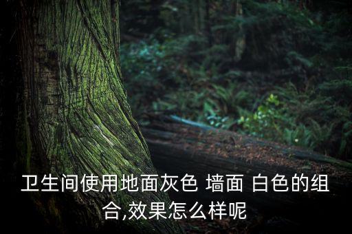 白色瓷磚搭配衛(wèi)浴圖片簡(jiǎn)約,外墻瓷磚白色跟什么搭配圖片