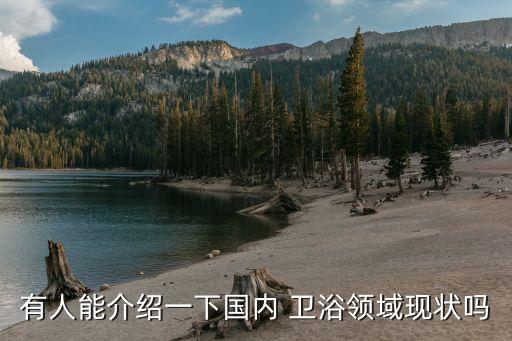 有人能介紹一下國(guó)內(nèi) 衛(wèi)浴領(lǐng)域現(xiàn)狀嗎