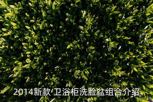 2014新款 衛(wèi)浴柜洗臉盆組合介紹