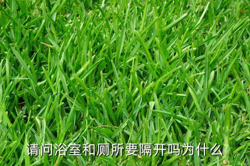 衛(wèi)生間衛(wèi)浴分離圖片,獨(dú)立衛(wèi)浴干濕分離圖片