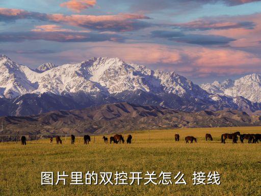 衛(wèi)浴軟管三通怎么接線圖片