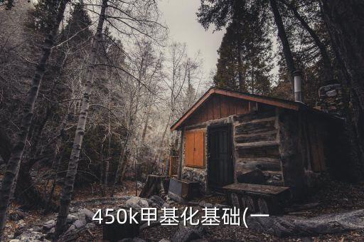 450k甲基化基礎(chǔ)(一