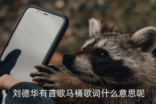  劉德華有首歌馬桶歌詞什么意思呢