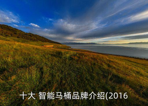 十大 智能馬桶品牌介紹(2016