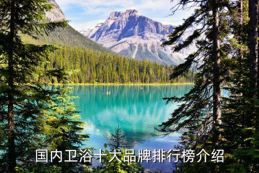 國內(nèi)衛(wèi)浴十大品牌排行榜介紹