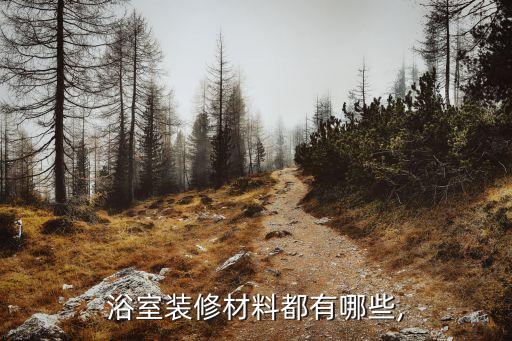 浴室裝修材料都有哪些,