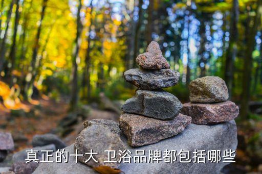 真正的十大 衛(wèi)浴品牌都包括哪些