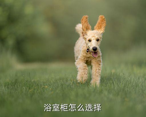 浴室柜怎么選擇