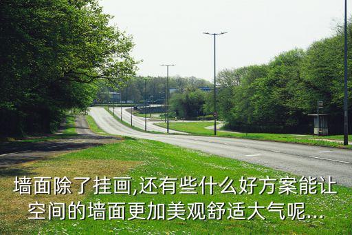 墻面除了掛畫,還有些什么好方案能讓空間的墻面更加美觀舒適大氣呢...