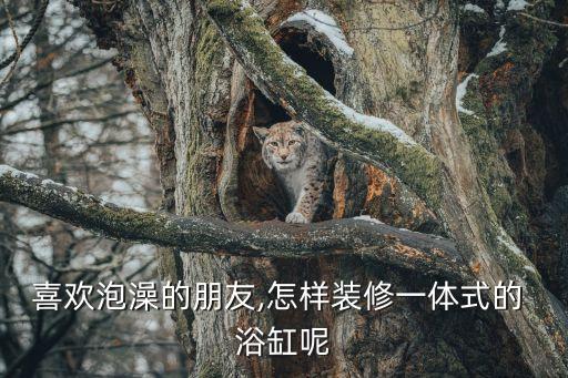 喜歡泡澡的朋友,怎樣裝修一體式的 浴缸呢
