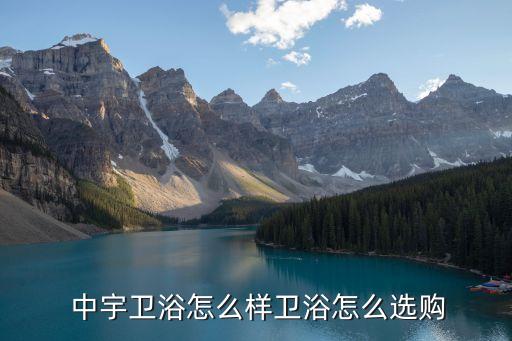  中宇衛(wèi)浴怎么樣衛(wèi)浴怎么選購(gòu)