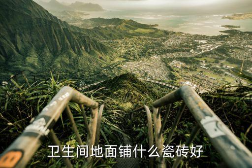 整體衛(wèi)浴地墊設(shè)計(jì)圖片,衛(wèi)浴logo設(shè)計(jì)圖片