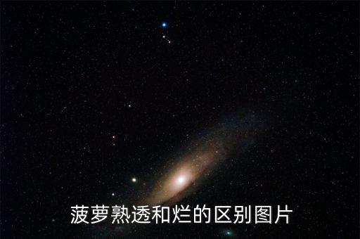  菠蘿熟透和爛的區(qū)別圖片