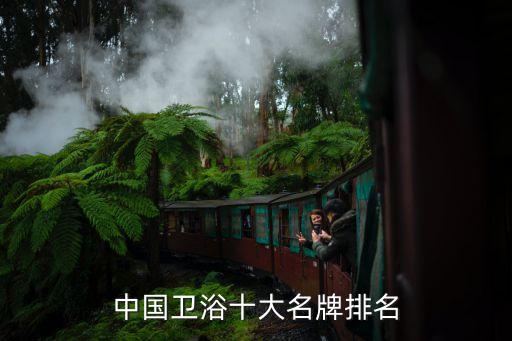 中國衛(wèi)浴十大名牌排名