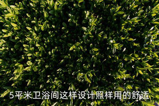 5平米衛(wèi)浴間這樣設(shè)計照樣用的舒適
