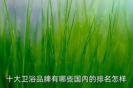十大衛(wèi)浴品牌有哪些國內(nèi)的排名怎樣