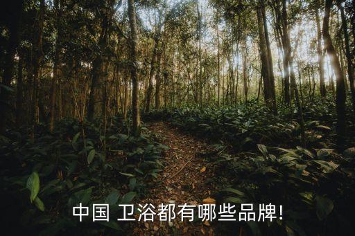中國 衛(wèi)浴都有哪些品牌!
