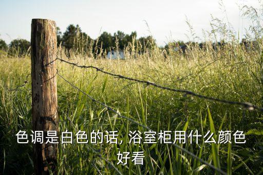色調(diào)是白色的話, 浴室柜用什么顏色好看
