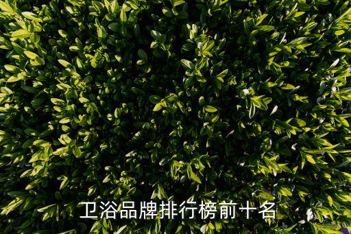 衛(wèi)浴素材推薦店鋪圖片欣賞
