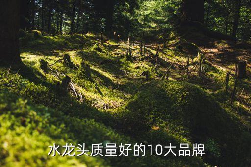  水龍頭質(zhì)量好的10大品牌