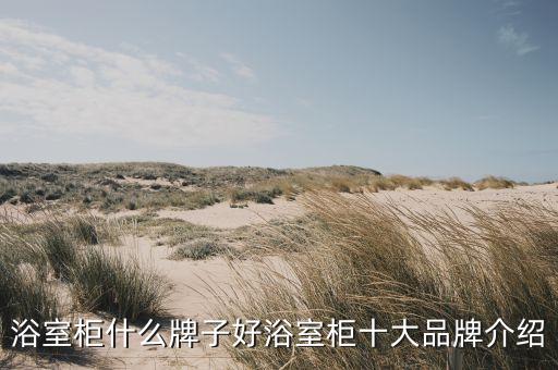 浴室柜什么牌子好浴室柜十大品牌介紹