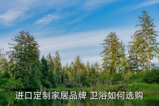進(jìn)口定制家居品牌 衛(wèi)浴如何選購