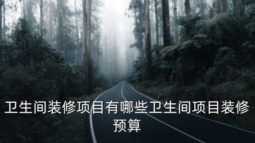 衛(wèi)生間裝修項(xiàng)目有哪些衛(wèi)生間項(xiàng)目裝修預(yù)算