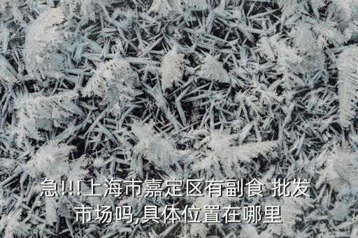 急!!!上海市嘉定區(qū)有副食 批發(fā) 市場嗎,具體位置在哪里