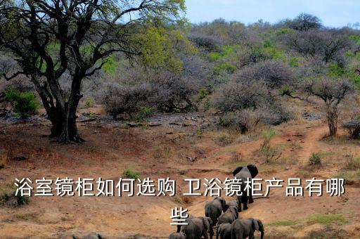 浴室鏡柜如何選購 衛(wèi)浴鏡柜產(chǎn)品有哪些