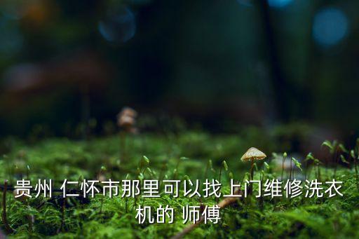 貴州 仁懷市那里可以找上門維修洗衣機的 師傅