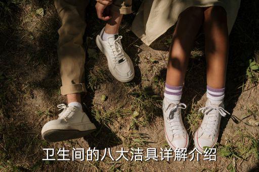 廁所高檔衛(wèi)浴圖片欣賞大全
