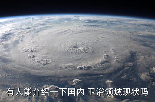有人能介紹一下國內(nèi) 衛(wèi)浴領(lǐng)域現(xiàn)狀嗎