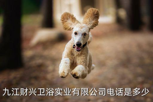 九江財(cái)興衛(wèi)浴實(shí)業(yè)有限公司電話是多少