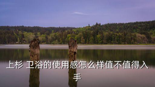 上衫衛(wèi)浴是幾線品牌的啊
