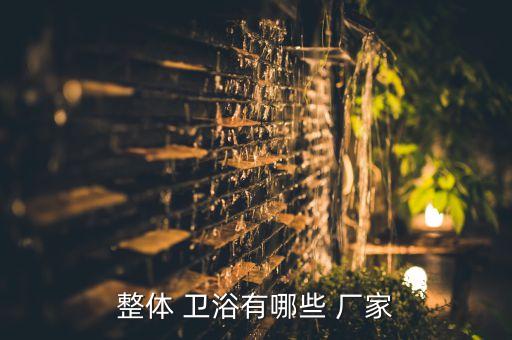 整體 衛(wèi)浴有哪些 廠家