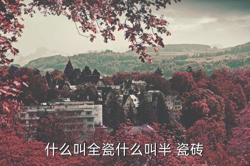 衛(wèi)浴半墻瓷磚圖片,貼半墻瓷磚圖片大全