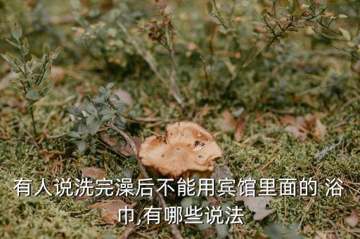 香奈兒衛(wèi)浴巾圖片