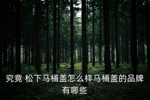 深圳松下衛(wèi)浴實(shí)體店地址,松下衛(wèi)浴廠家地址