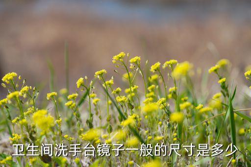 衛(wèi)生間洗手臺鏡子一般的尺寸是多少